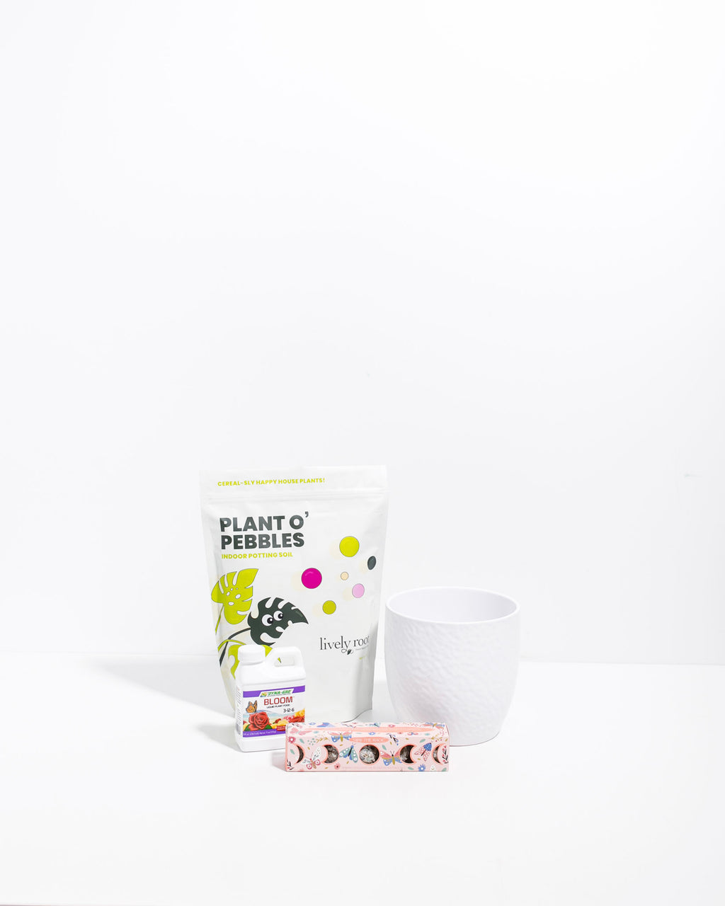 Moon Phase Seed Kit Plant Starter Kit Lively Root