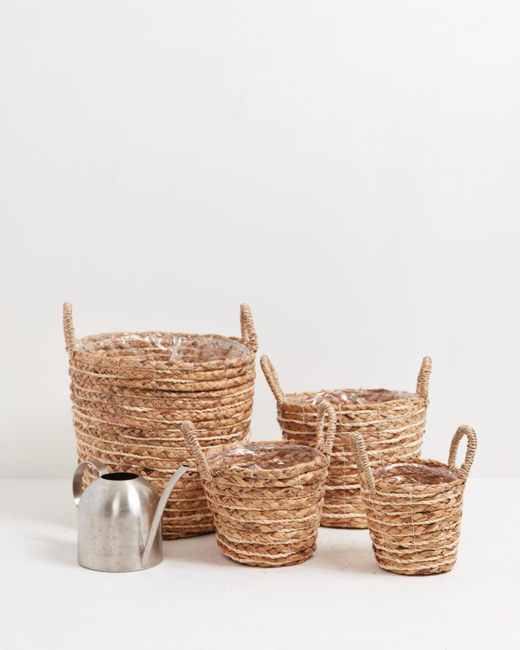 Baskets, Lively Root, Planter, , , , 