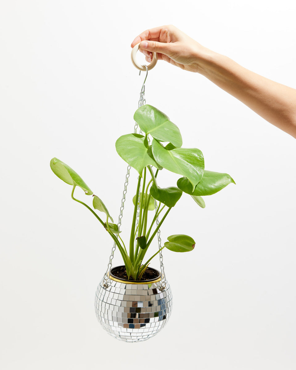 Disco Ball Garden Hanger Lively Root