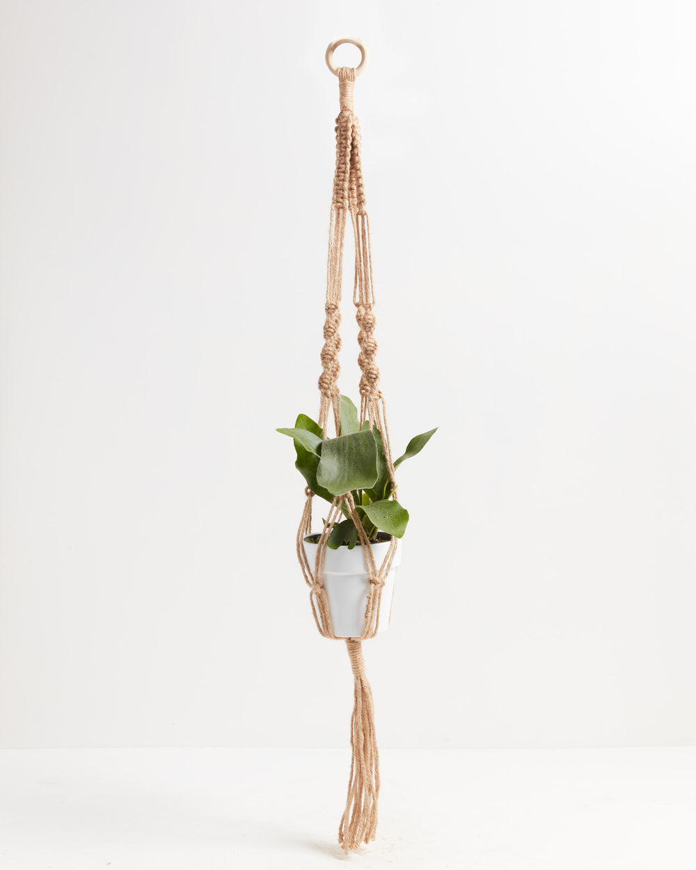 Macrame Plant Hanger, Lively Root, Accessory, , , , 