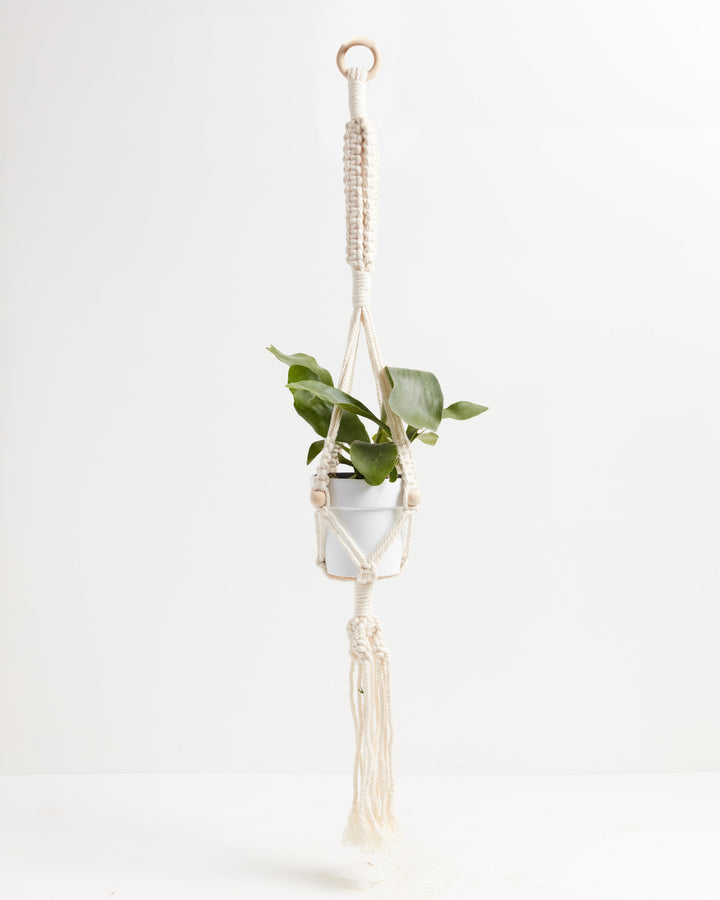 macrame plant hanger with light Macrame Plant Hanger | Hanging Planters