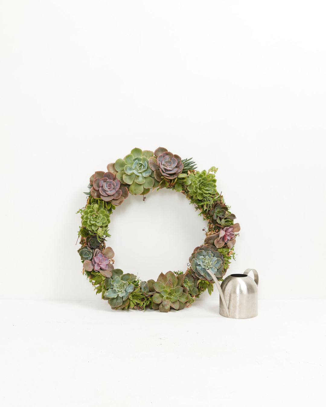 succulent wreaths Succulent Wreath for Sale