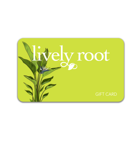 Lively Root Gift Card, Lively Root, Gift Cards, , , , 
