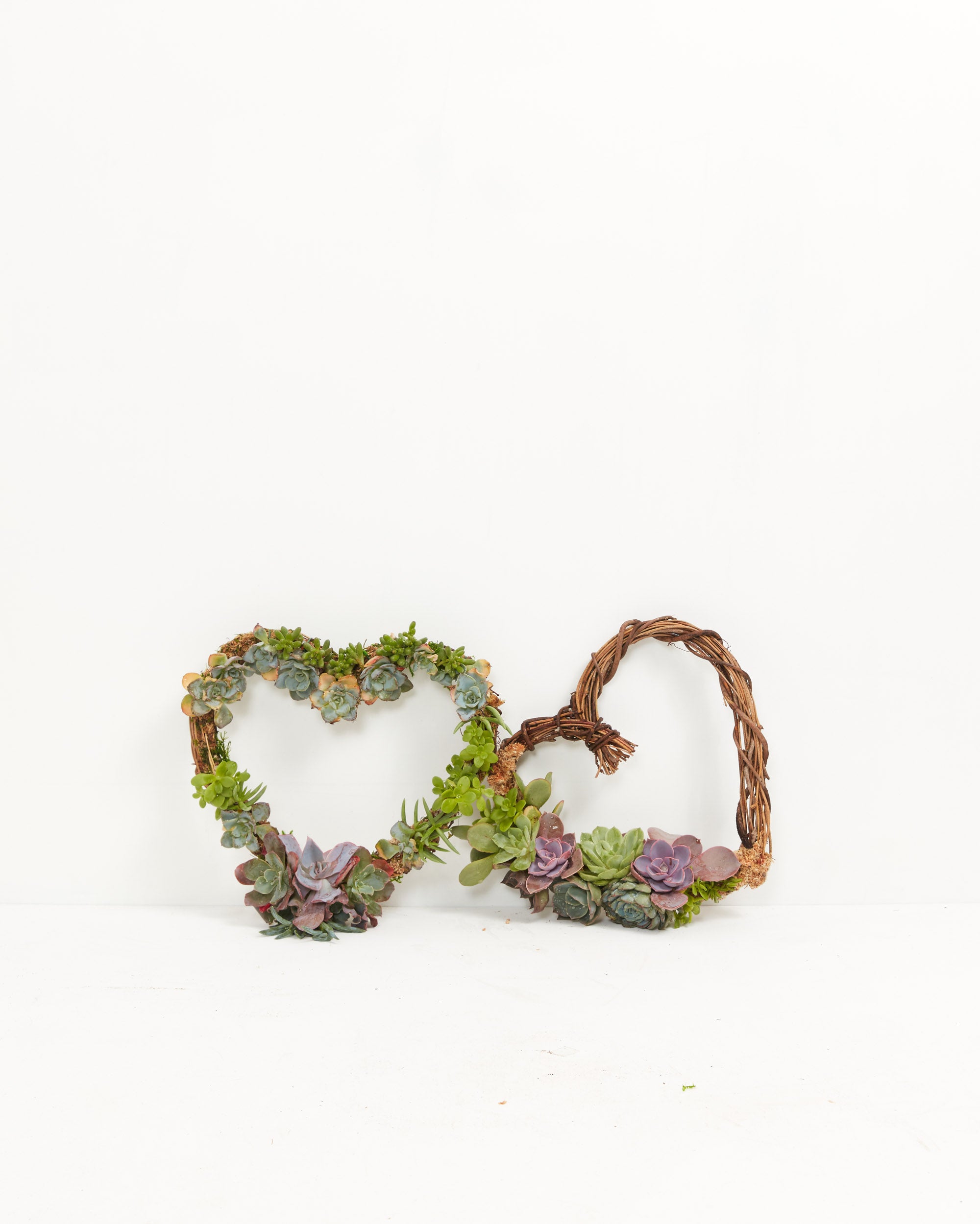 DIY Succulent Heart Wreath Kit – In Succulent Love