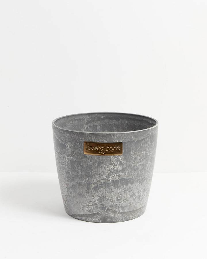 Eco Pot, Lively Root, Planter, , , , 