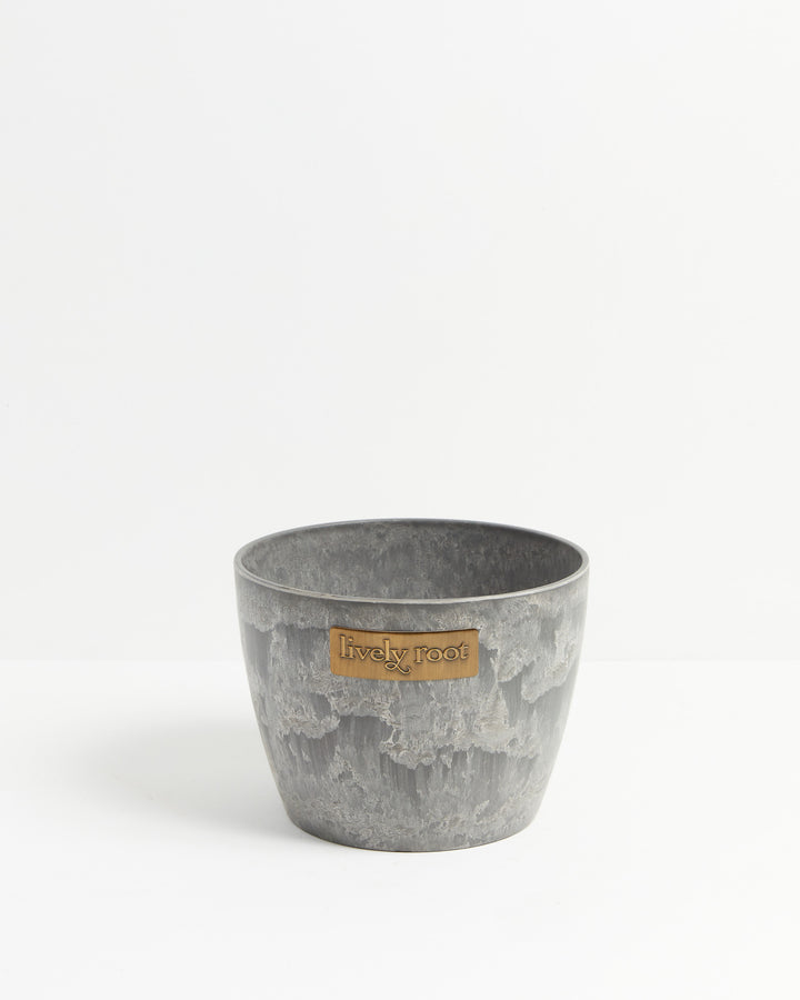 Eco Pot, Lively Root, Planter, Size, Large, Color, Earl Grey