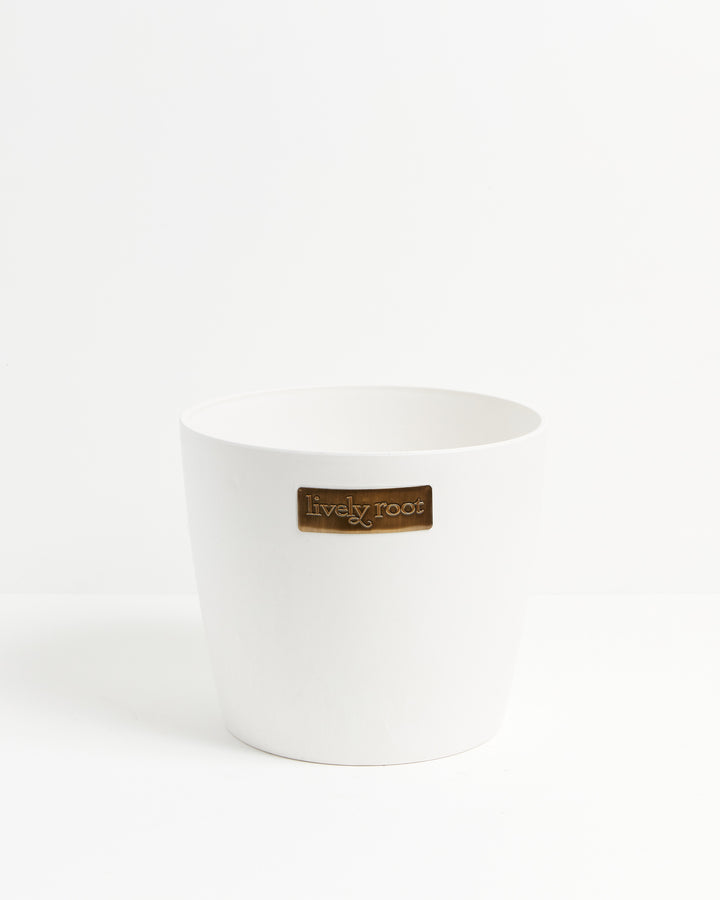 Eco Pot, Lively Root, Planter, , , , 