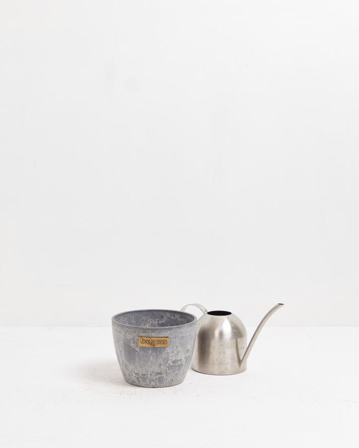 Eco Pot, Lively Root, Planter, , , , 