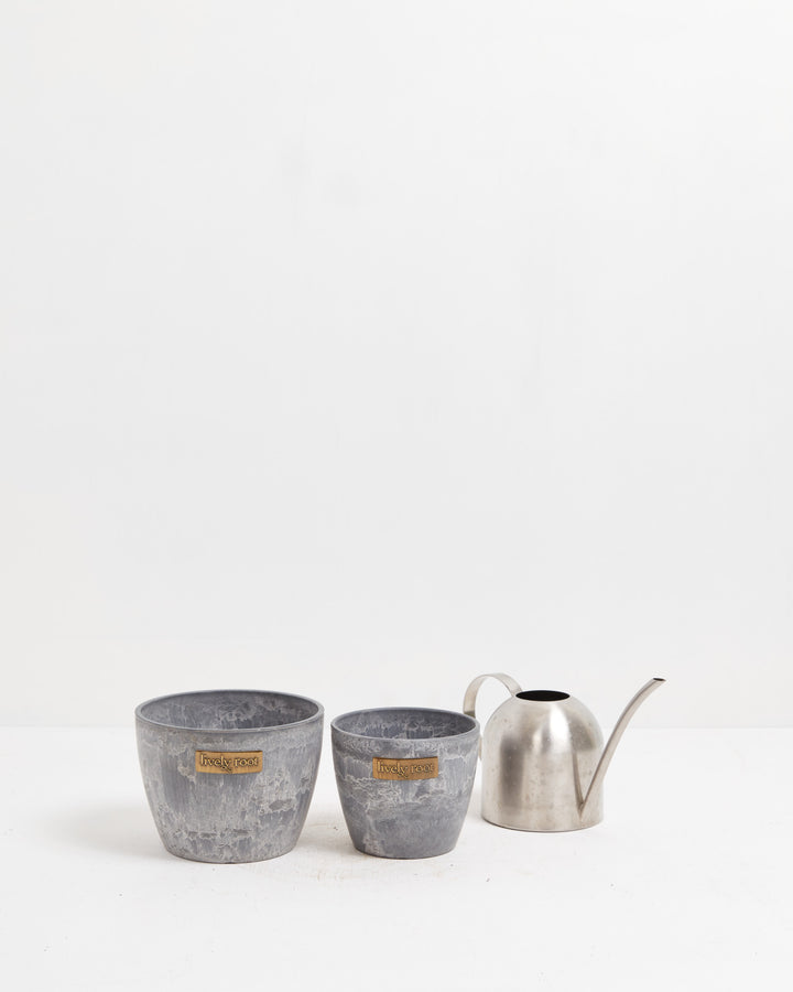 Eco Pot, Lively Root, Planter, , , , 