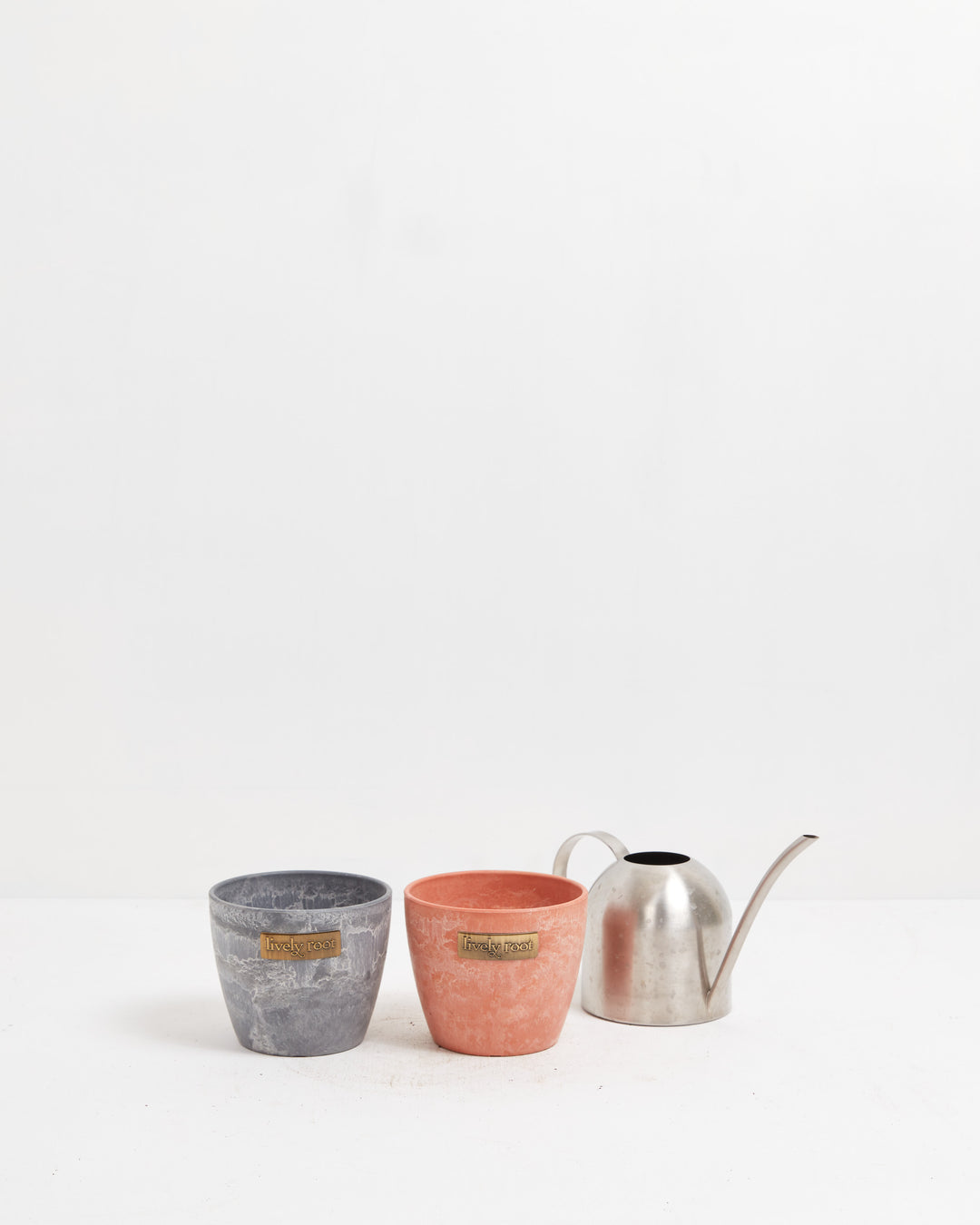 Eco Pot, Lively Root, Planter, , , , 