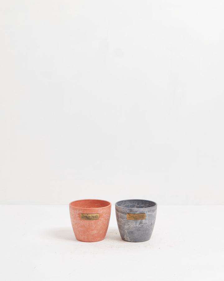 Eco Pot, Lively Root, Planter, , , , 