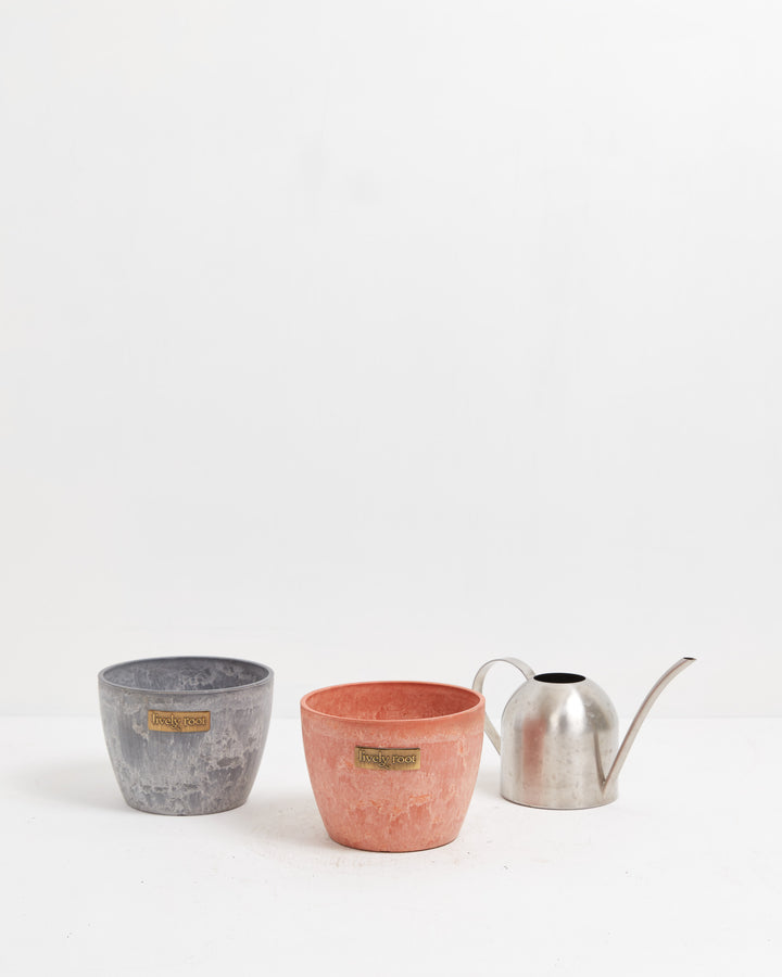 Eco Pot, Lively Root, Planter, , , , 