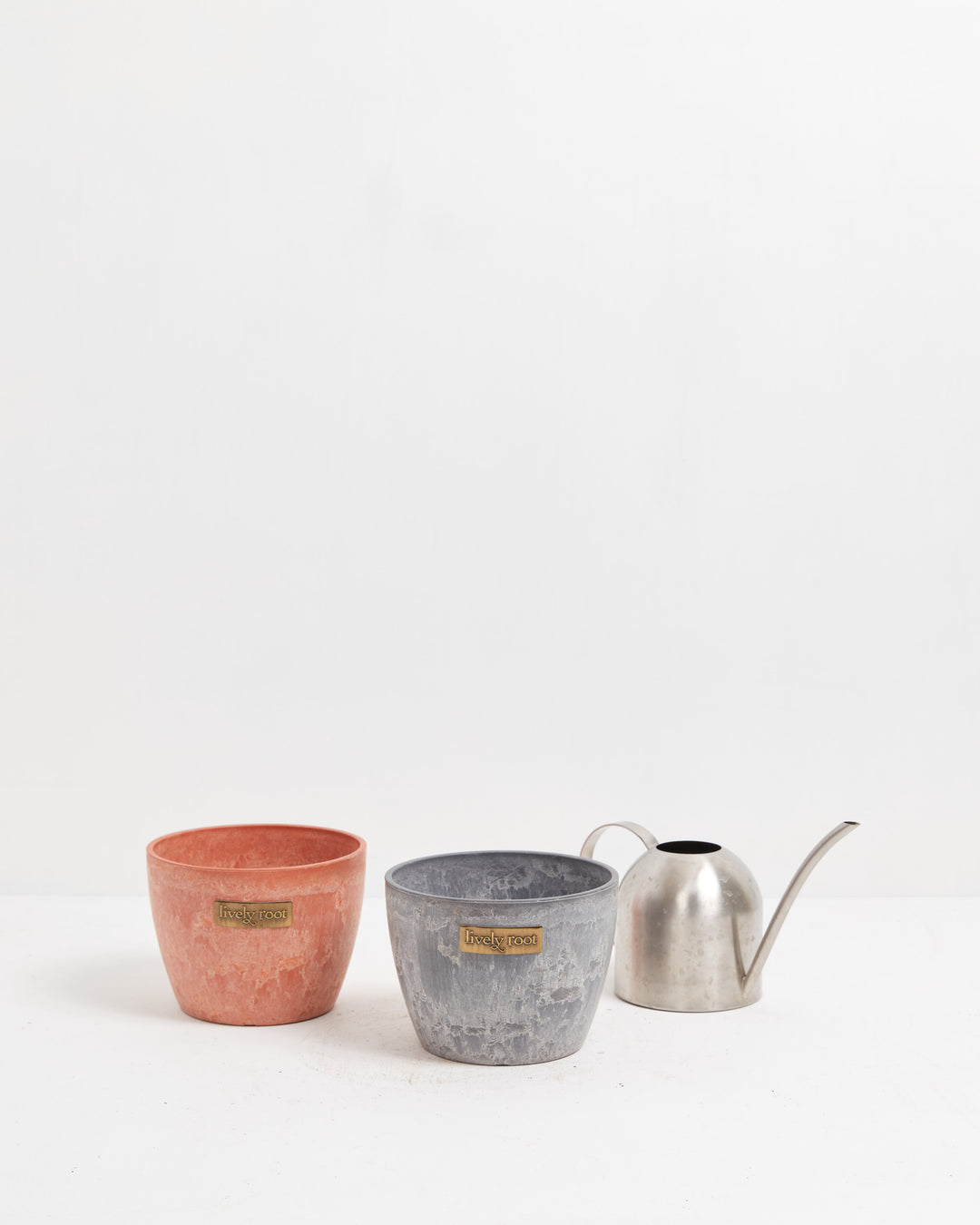 Eco Pot, Lively Root, Planter, , , , 