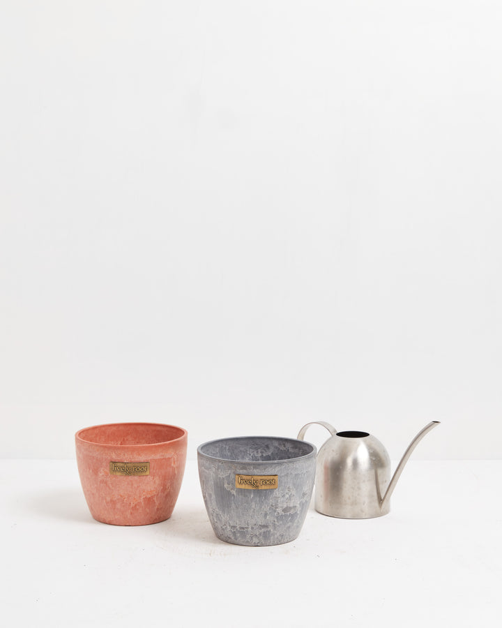 Eco Pot, Lively Root, Planter, , , , 