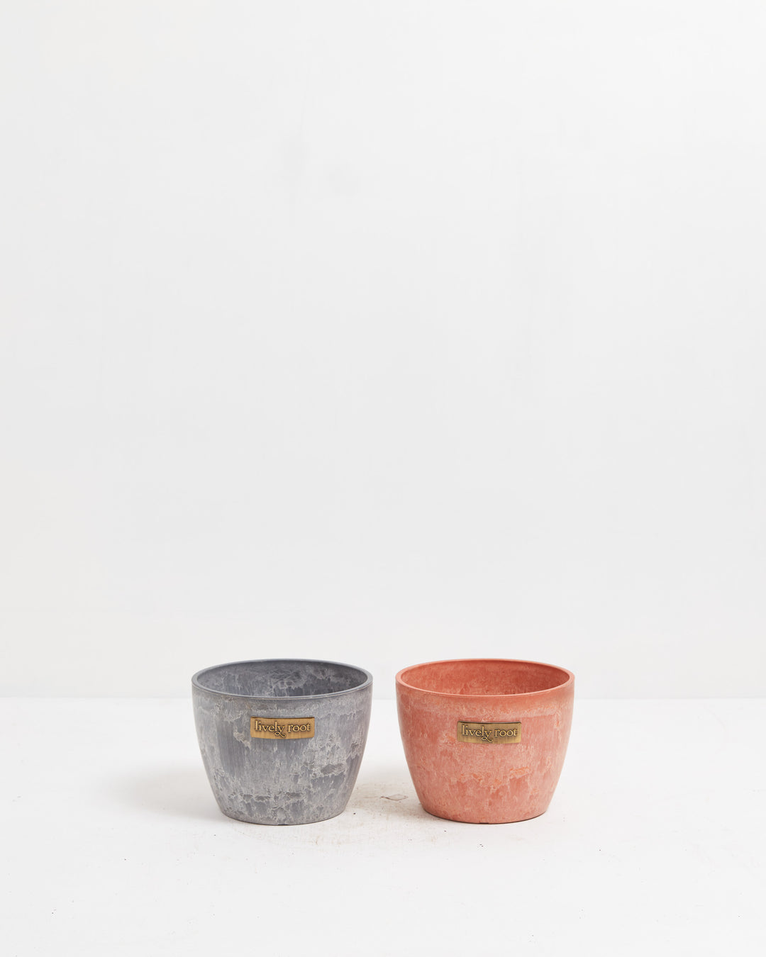 Eco Pot, Lively Root, Planter, , , , 