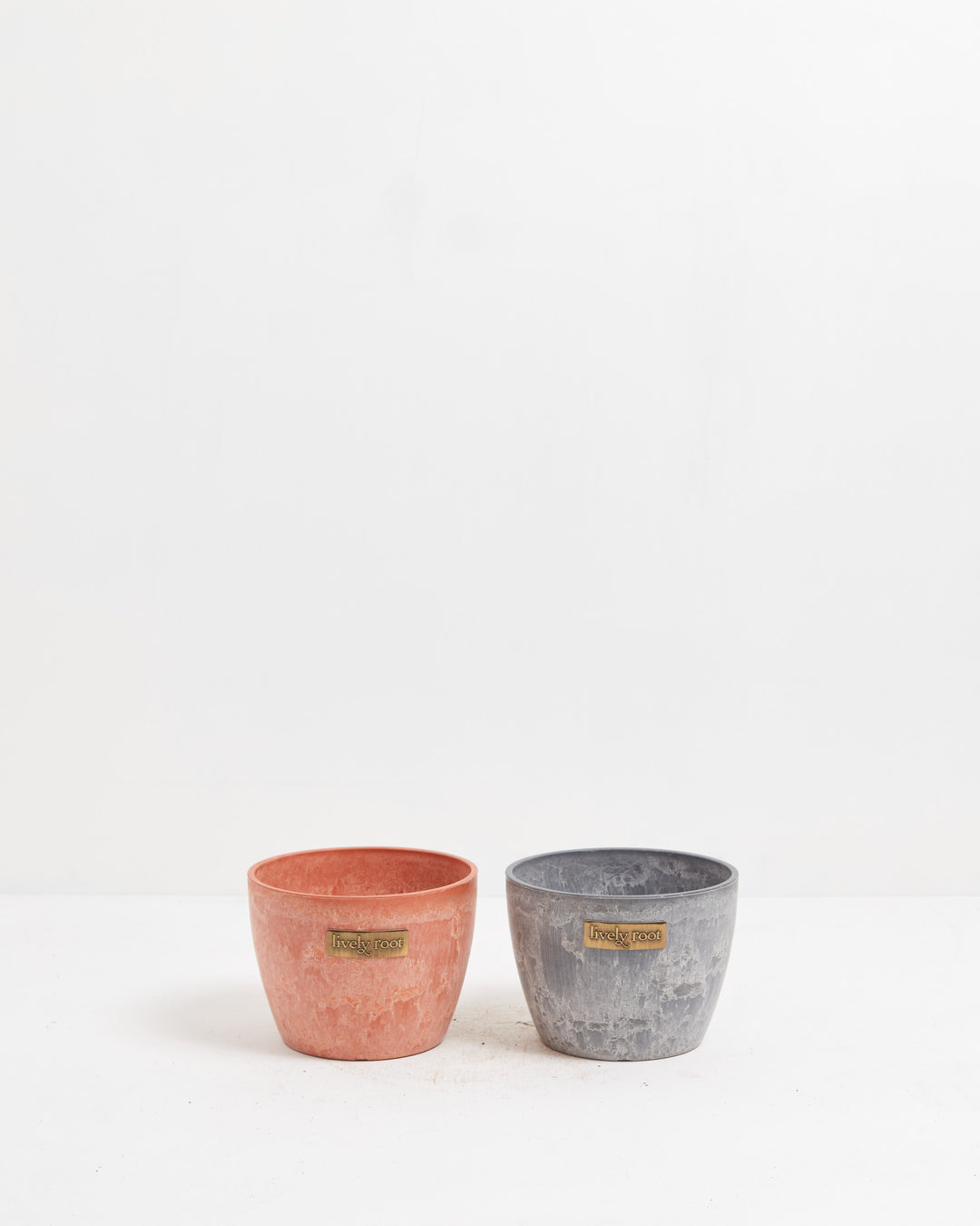 Eco Pot, Lively Root, Planter, , , , 