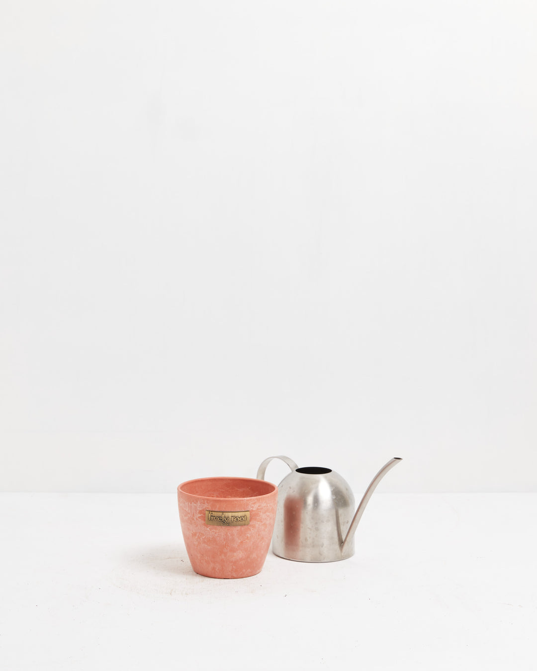 Eco Pot, Lively Root, Planter, , , , 