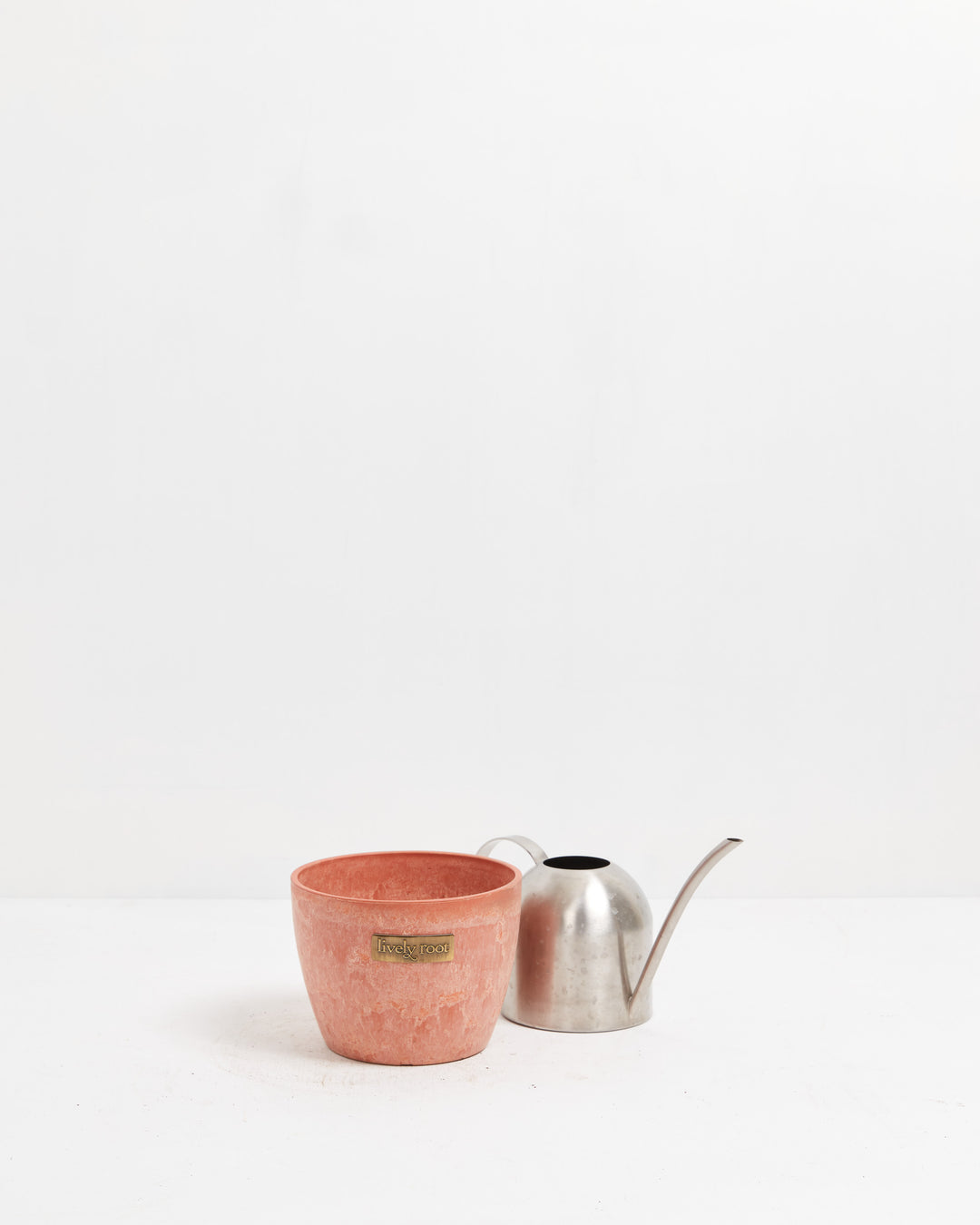 Eco Pot, Lively Root, Planter, , , , 