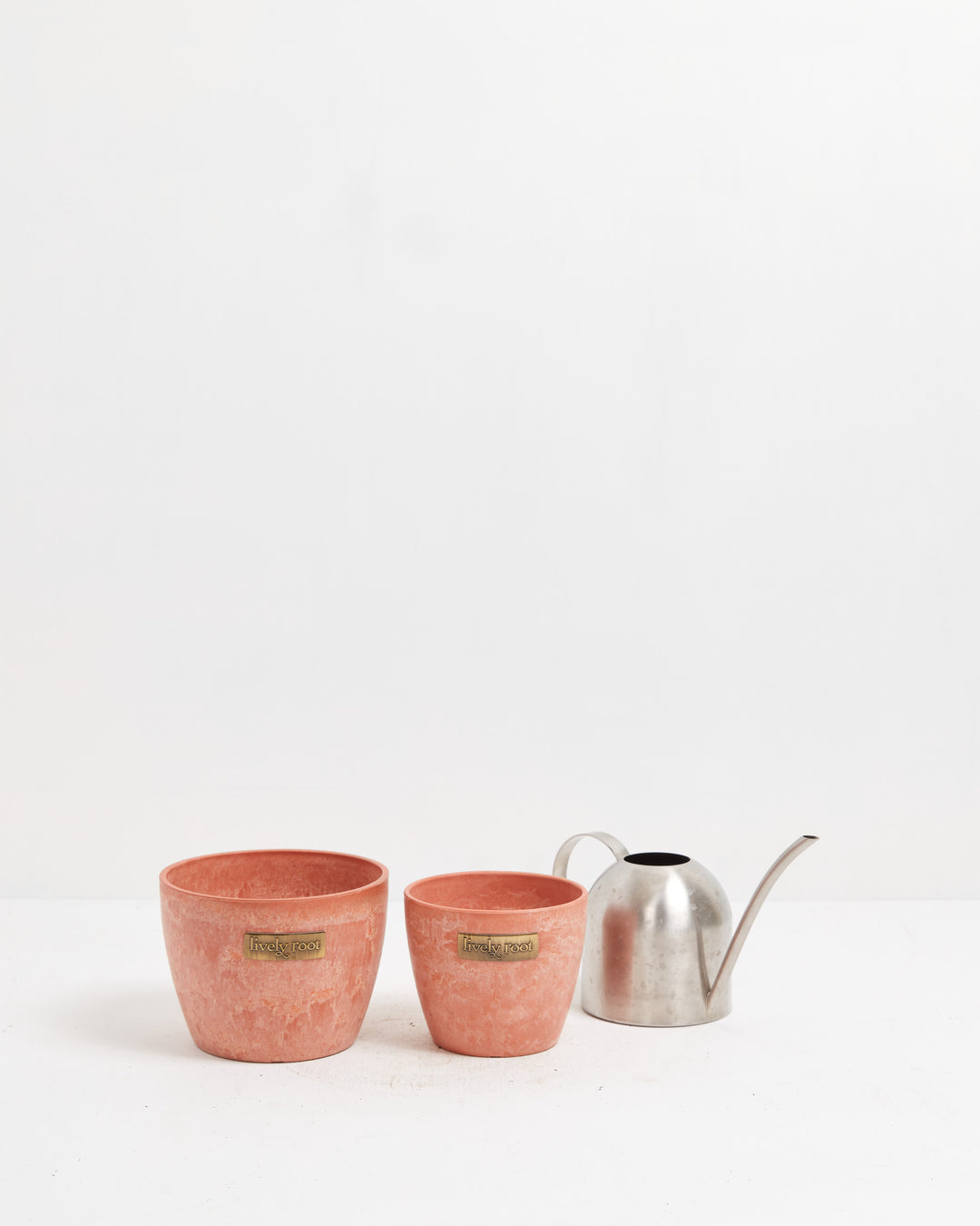 Eco Pot, Lively Root, Planter, , , , 