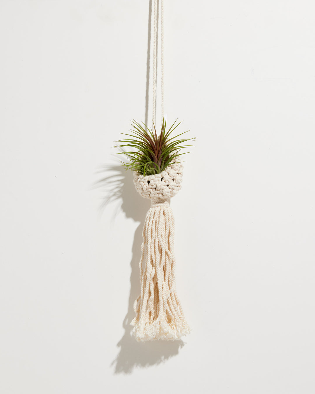 macrame for air plants Macrame Air Plant Ornament | Hanging Planters