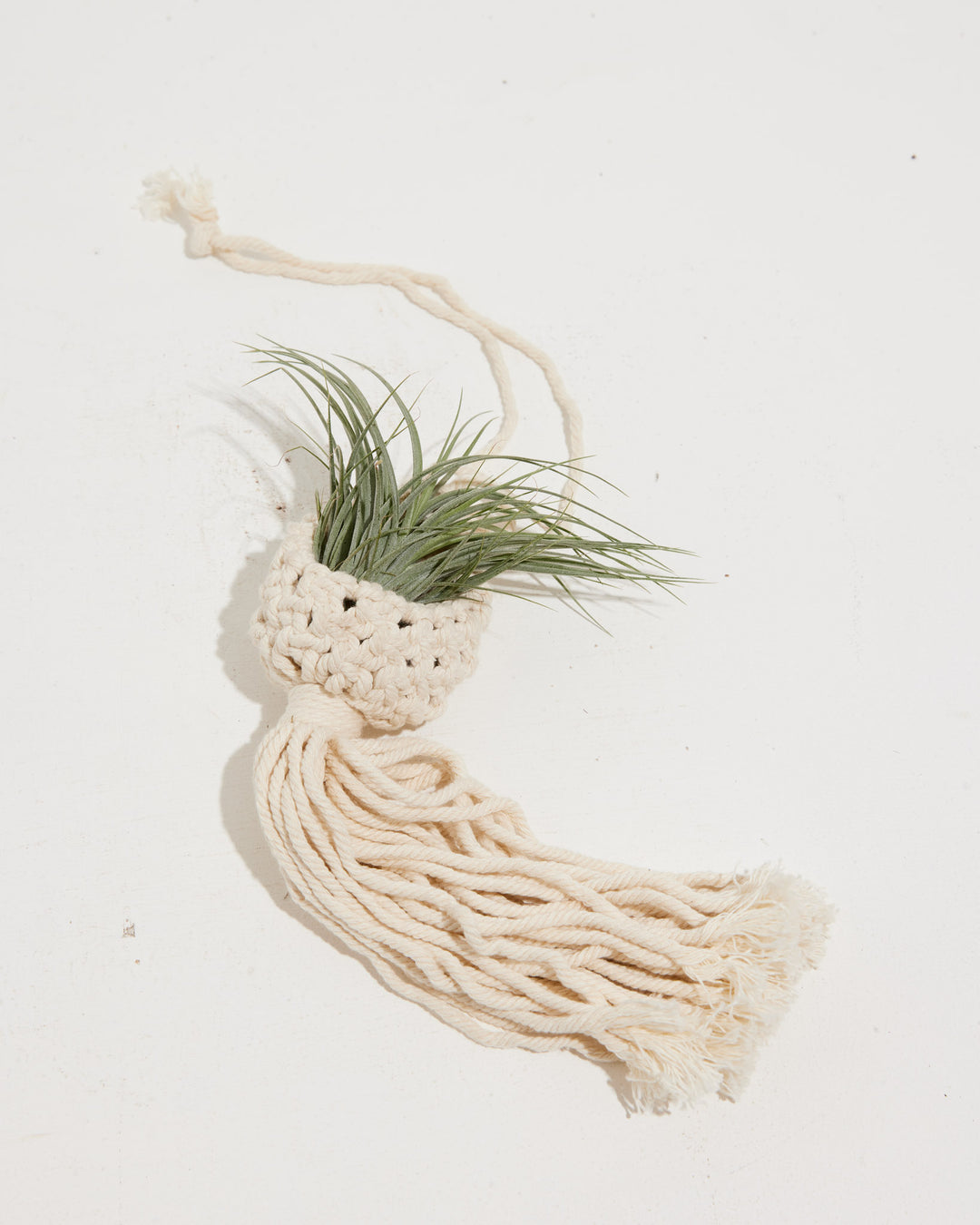air plant macrame Macrame Air Plant Ornament | Hanging Planters