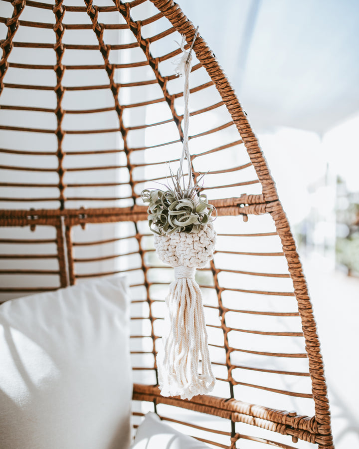 large air plant frame Macrame Air Plant Ornament | Hanging Planters