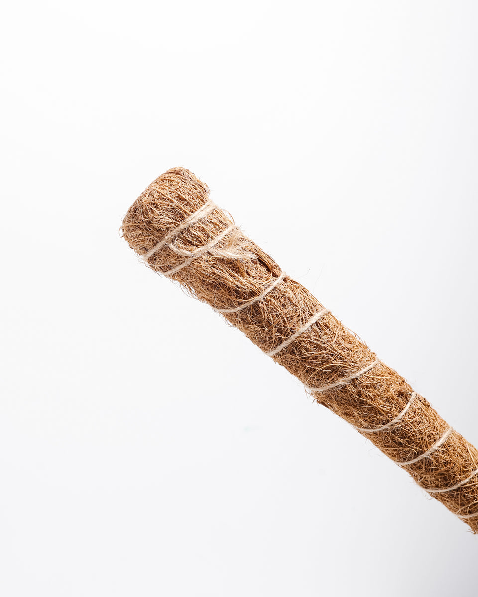 Coco Coir Pole Lively Root