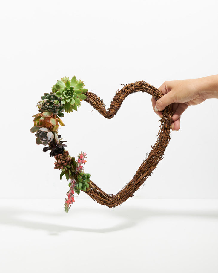 Fresh Live Succulent Heart Wreath