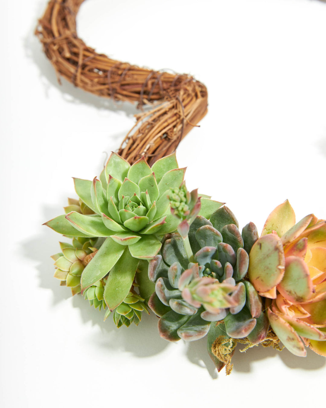 succulent wreath delivery Fresh Live Succulent Wreath | Heart-Shaped