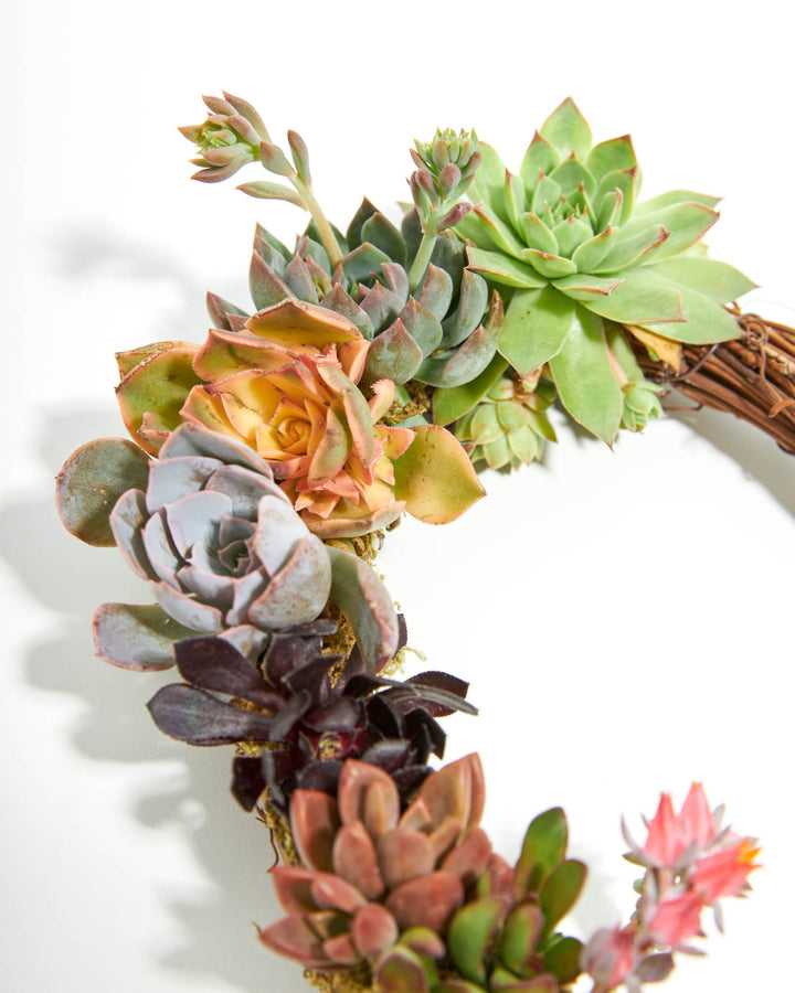 succulent wreath live Live Succulent Heart Wreath