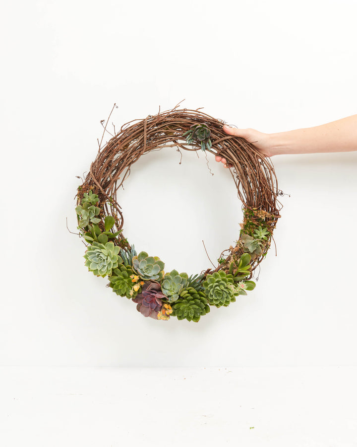 succulent wreath kit Succulent Wreath for Sale
