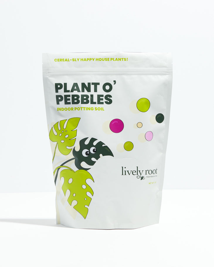 Lively Root Plant O' Pebbles Potting Soil