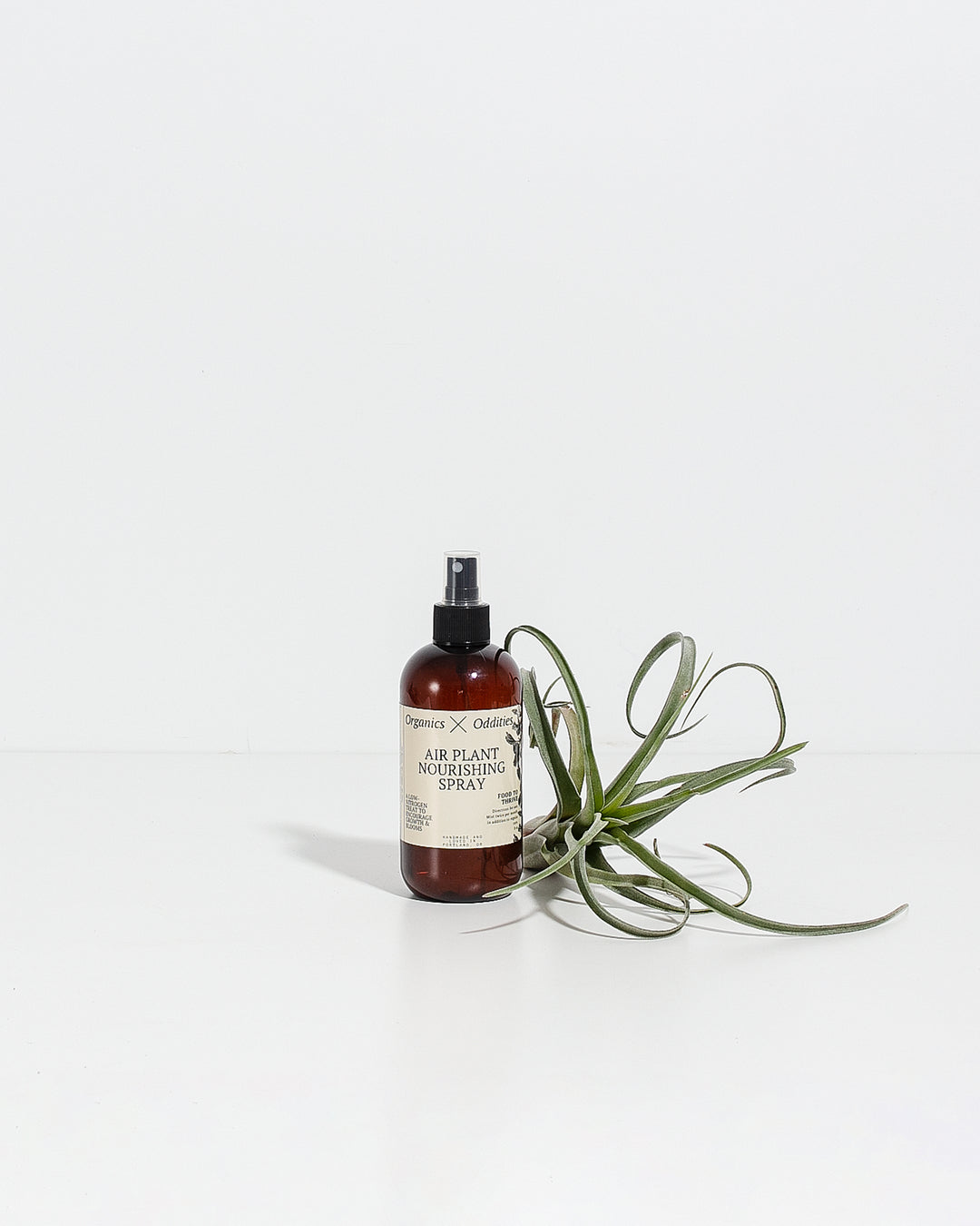 air plant spray Nourishing Air Plant Spray