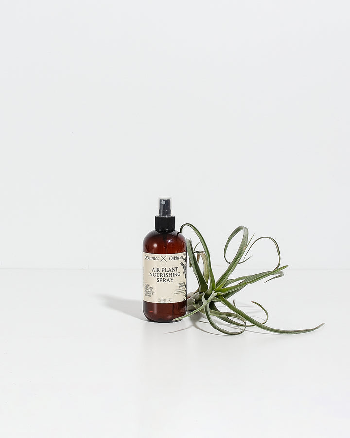 Nourishing Air Plant Spray