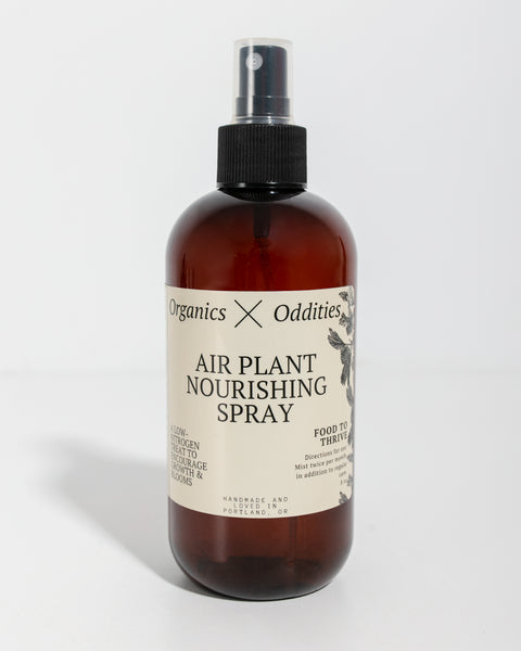 air plant spray Nourishing Air Plant Spray