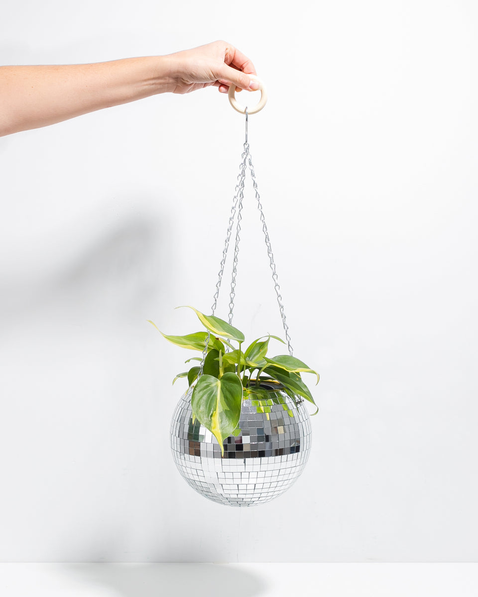 Disco Ball Garden Hanger Lively Root