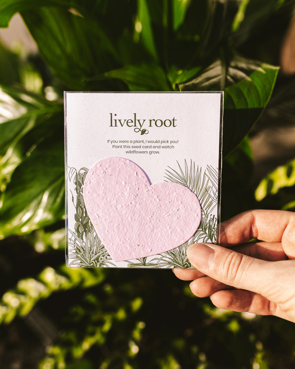 Wildflower Seed Paper Note Card | Lively Root