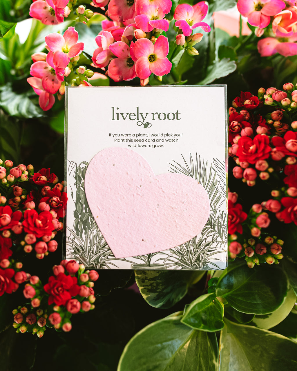 Wildflower Seed Paper Note Card | Lively Root