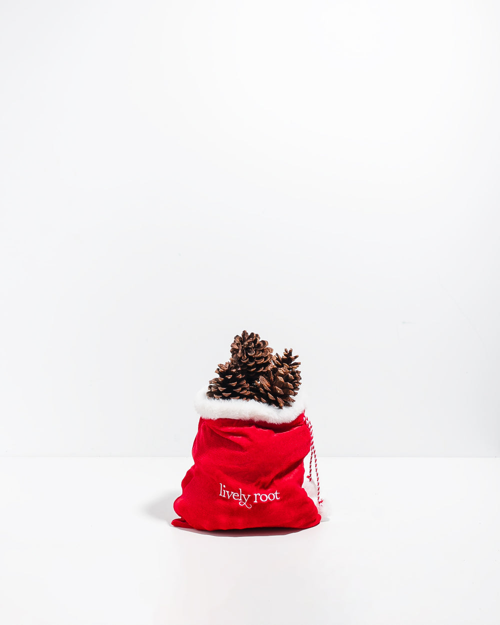 Cinnamon Scented Ponderosa Pinecones