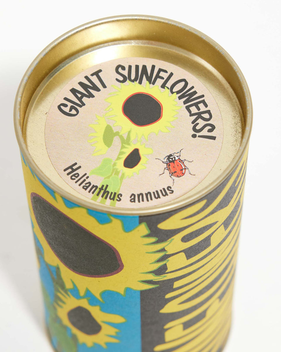 California Poppy Seed Grow Kit Plant Seeds Lively Root