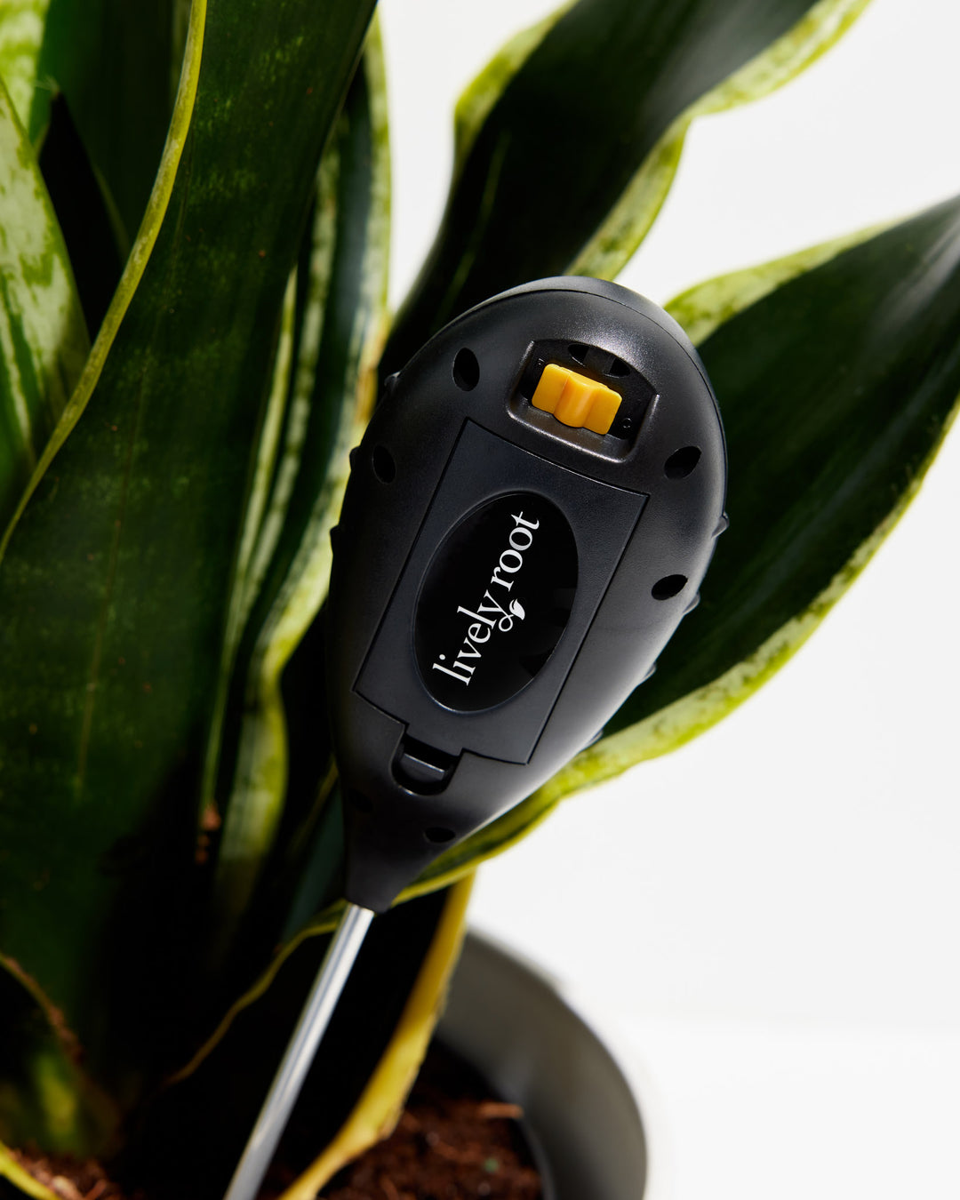 indoor plant thermometer Digital Plant Thermometer 🌡️
