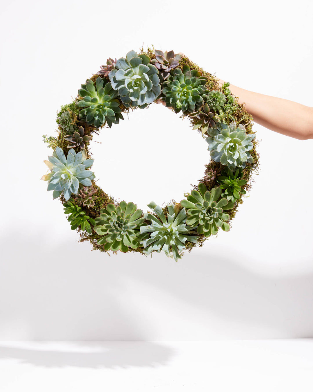 live succulent wreaths for sale Succulent Wreath for Sale