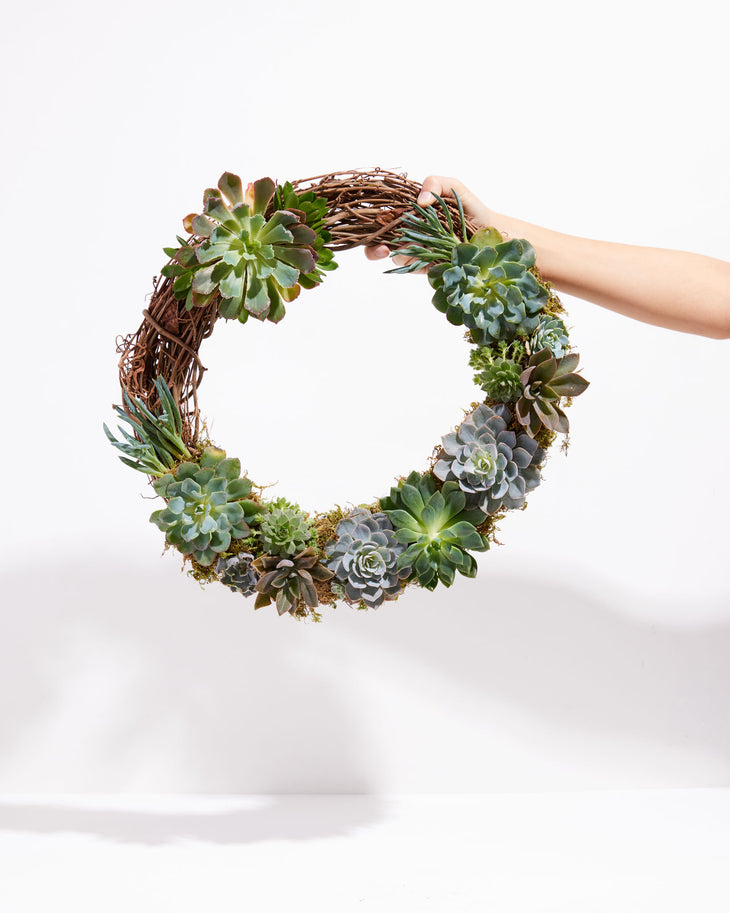 18" Fresh Live Succulent Wreath: Partially Covered, Lively Root, Plant, , , , 