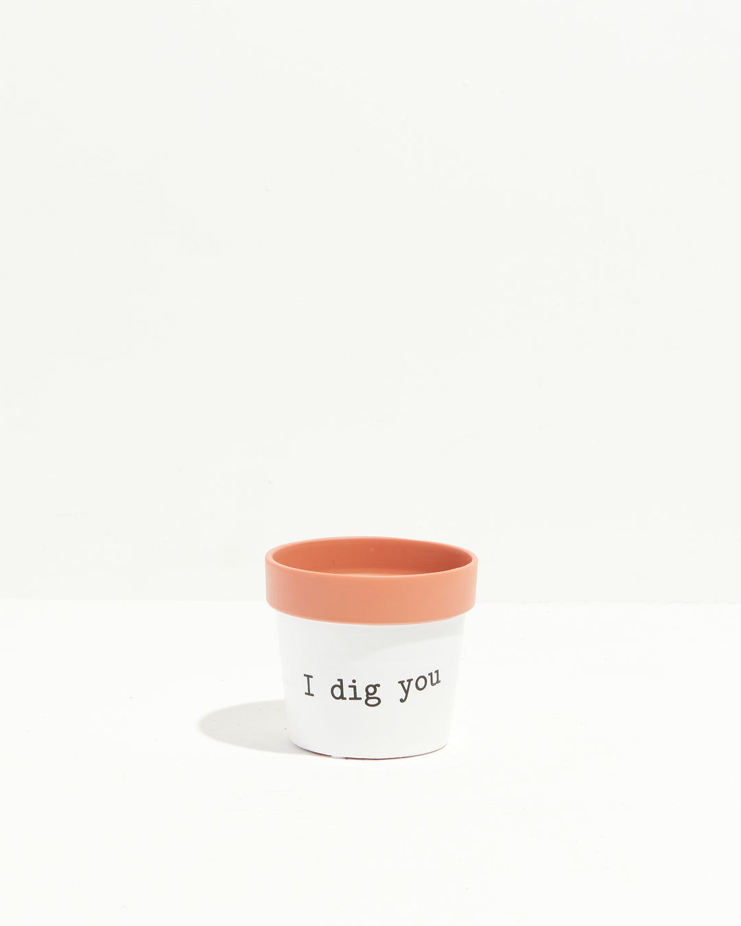 Say How You Feel Ceramic Pots, Lively Root, Planter, Size, Small, Color, I Dig You