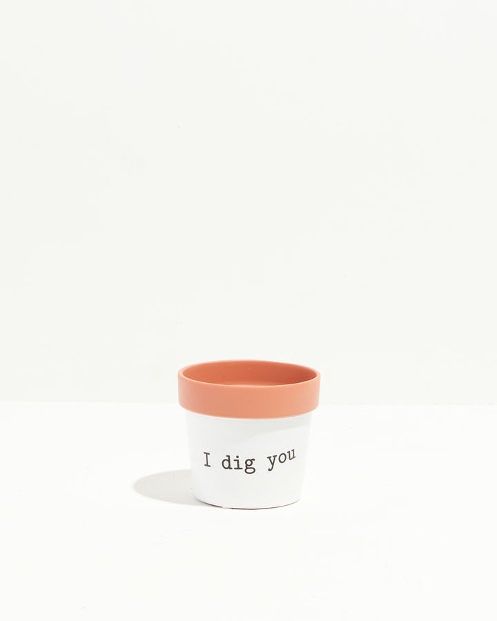 Say How You Feel Ceramic Pots, Lively Root, Planter, Size, Small, Color, I Dig You
